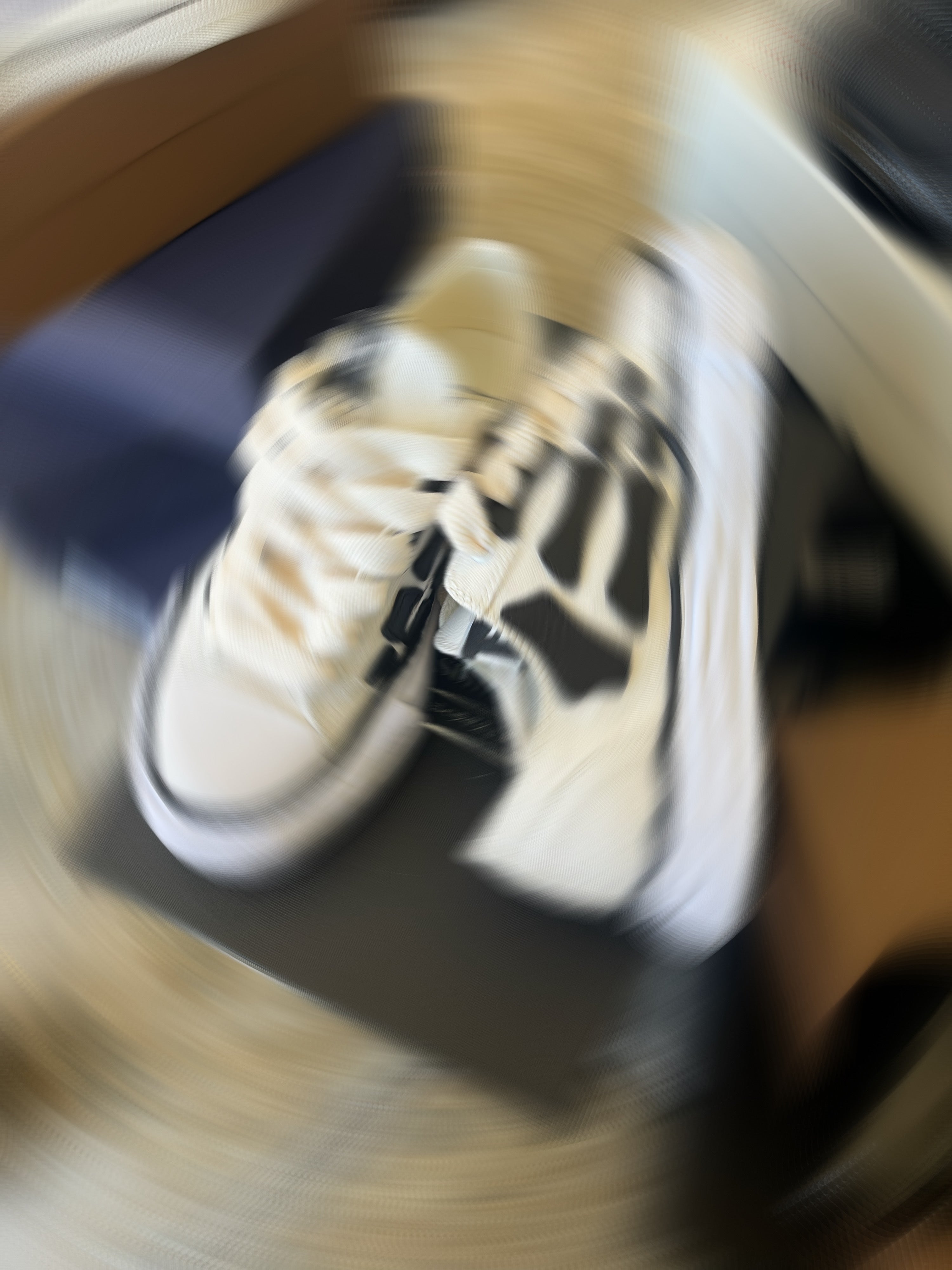 Skellys
