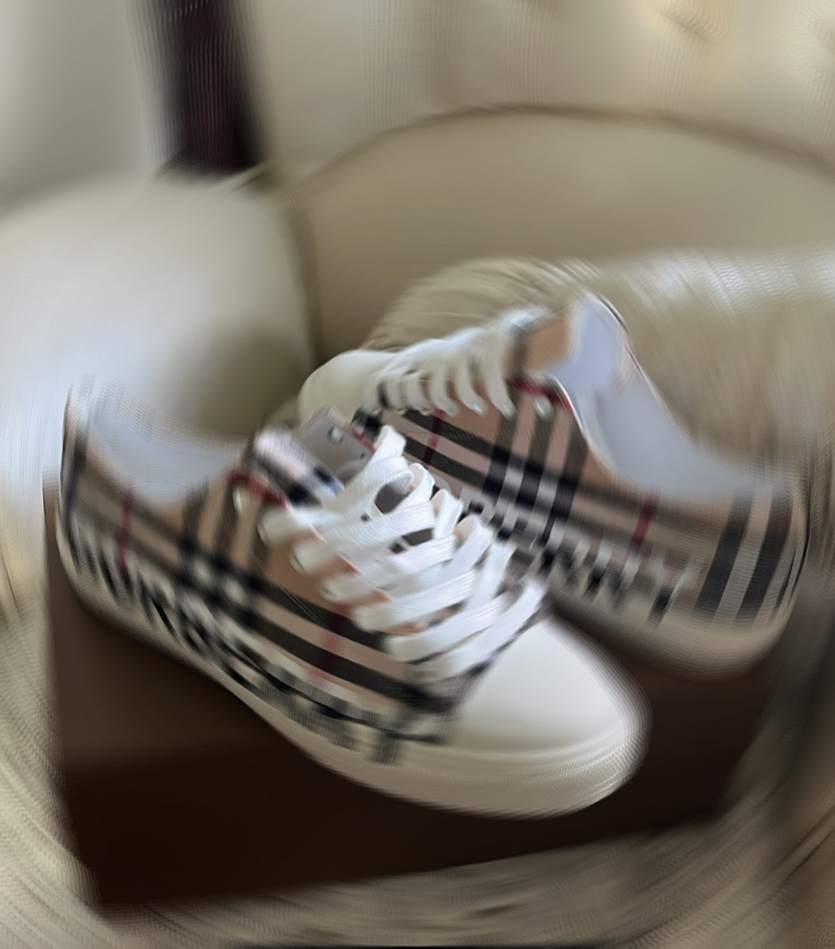 Burberi